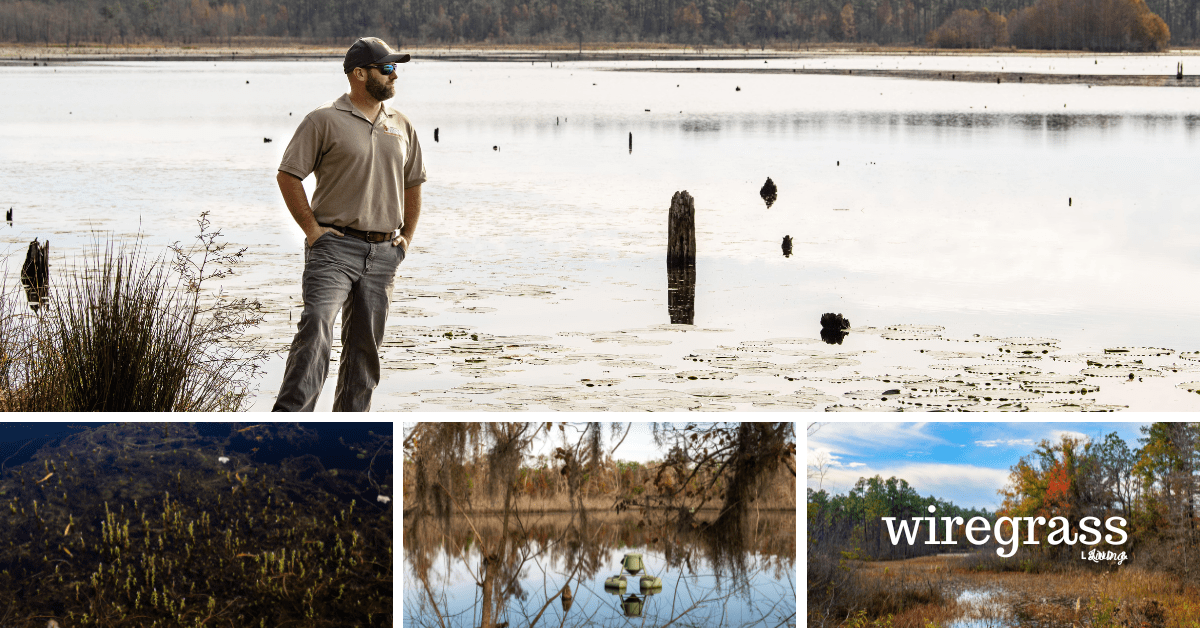 The Pond Primer Southwest Farm Credit